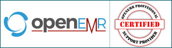 OpenEMR Professional Support Provider